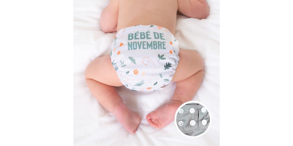 La Petite Ourse- Couche du mois- Novembre-Snap